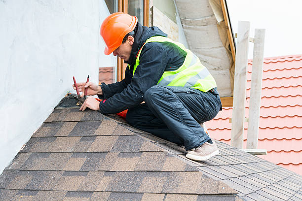 Roof Gutter Cleaning in Holliday, TX